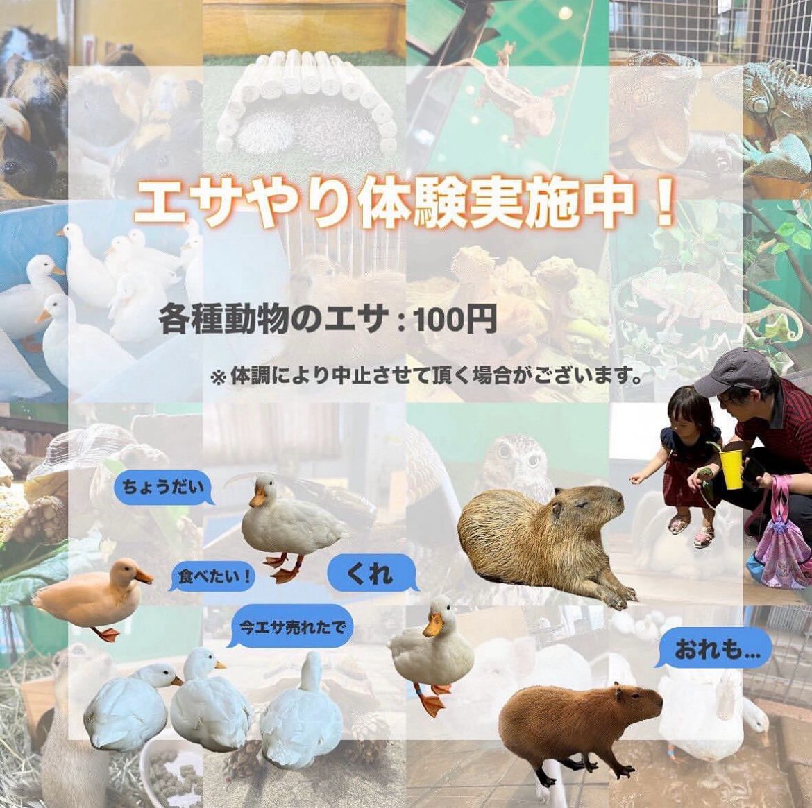 【イベント】世界のめずらしい、いきものが大集合!「ワクワクいきものワールド」が開催されるよ!