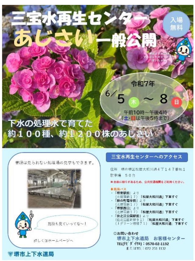 【イベント】約1200株のあじさいが見れるよ!「あじさい一般公開」が開催されます!!