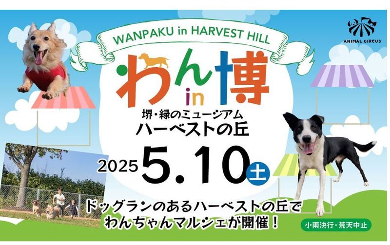 【イベント】ワンちゃんたちの為のマルシェイベント「わん博」が開催されます!