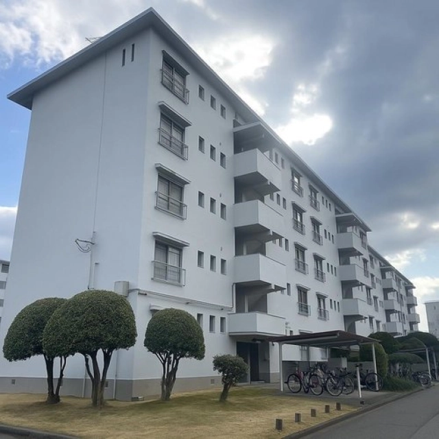 浅香山住宅１１号棟 中古マンションの不動産情報です。